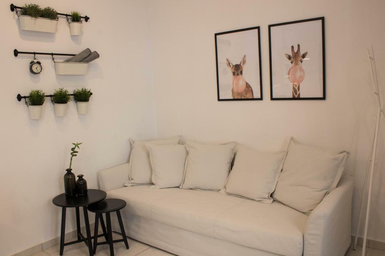 Super Stylish Apartments In Syntagma Square! Athens Exterior photo
